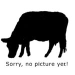 Beef / Deposit for Quarter Beef